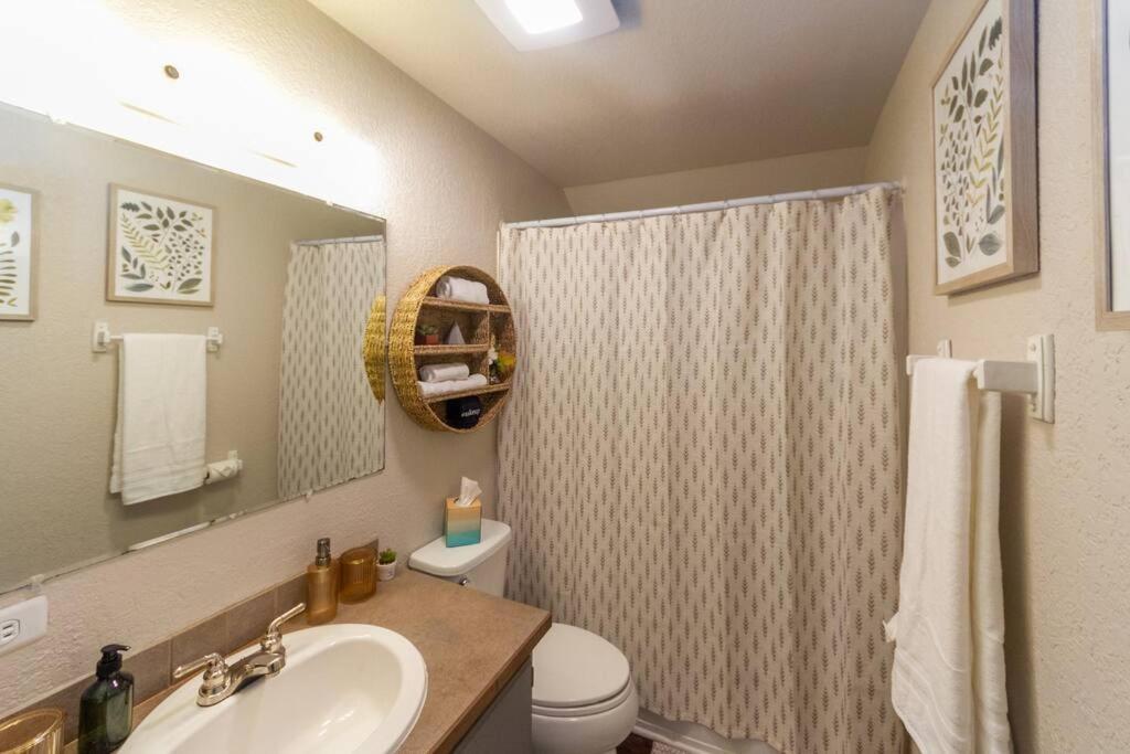 A Very Unique Quirky And Comfortable Home سبوكين المظهر الخارجي الصورة